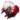 LiSTRioN