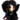 NerV