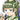 v1gnette