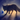DarkFoxing