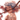 annlevt