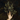 Forest Mushi