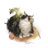 怖い生き物