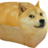 MrDogerFirst
