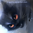 KuroCat