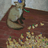 Simn Fox