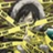 Anime User