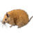 Мышь колючая