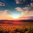 SunBreeze