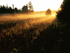 Горная сказка