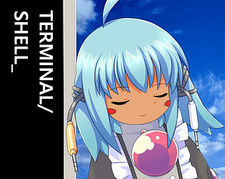 TERMINAL/SHELL_