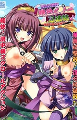 Midara ni Messatsu! Momoiro Kunoichi Ninpouchou♪ ~Ryoukan Shougun no Inbou!?~