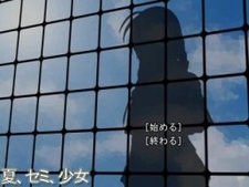 Summer, Cicadas, and the Girl