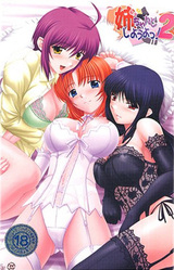 Nee, Chanto Shiyou yo! 2