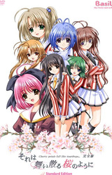 Sore wa Maichiru Sakura no You ni