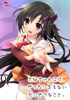 Onii-chan ni wa Zettai Ienai Taisetsu na Koto.