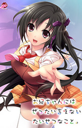 Onii-chan ni wa Zettai Ienai Taisetsu na Koto.