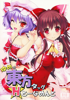 Yume no Touhou Tag H Tournament