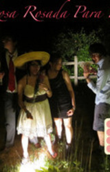 Una Rosa Rosada Para Rosa