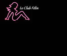 Club Félin