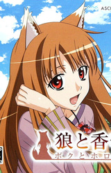 Spice and Wolf: My Year with Holo