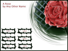 A Rose by Any Other Name