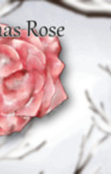 Christmas Rose