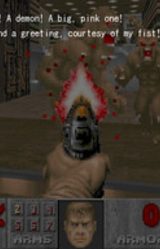 Diaries of the Doomguy