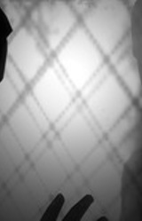 The Outbreak: First Light