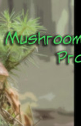 Mushrooms and Promises