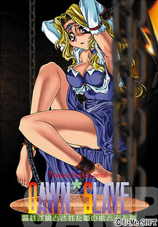 Dawn * Slave ~Kisezu Toriko to Sareta Hime no Tokoro to Kokoro to Yoridokoro~