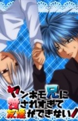 Yanhomo Ani ni Aisare Sugite Tomodachi ga Dekinai!