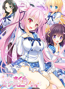 Sakura Synchronicity