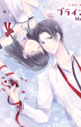 Blind Prism ~Melty Snow~