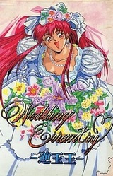Wedding Errantry -Gyakutama Ou-