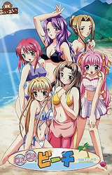 Doki-Doki Beach ~Munasawagi no Yokan~