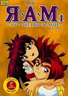 RAM 1 - New Evolution Organize