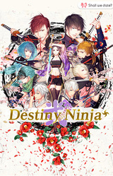 Destiny Ninja 2+