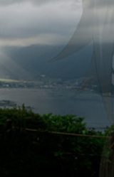 Days Of The Hydrangea Path