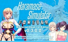 Haramase Simulator