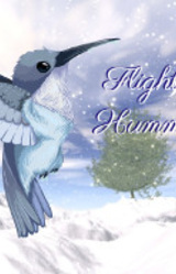 Flight of the Hummingbird