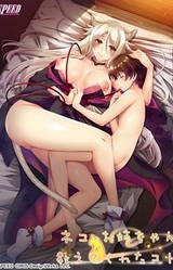 Neko no Onee-chan ga Oshiete Kureta Koto