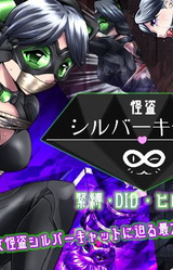 Onna Kaitou Silver Cat