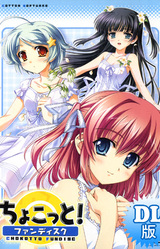Chokotto! Fandisc