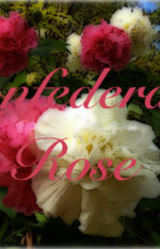 Confederate Rose