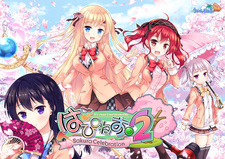 Happiness! Sakura Celebration!