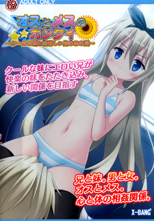 Osu to Mesu no Kankei ~Cool na Imouto to Atsukurushii Ore no Ano Natsu~