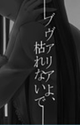 Bouvardia yo, Karenai de