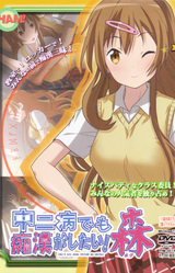 Chuunibyou de mo Chikan ga Shitai! Mori