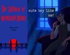 The Shadow of Oberbaum Bridge